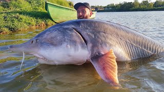 STORIONE BELUGA GIGANTE 160 kg X 250 mt RECORD  HD by CATFISHING WORLD [upl. by Netty]