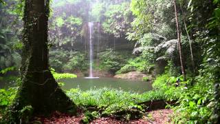 Relax 1 Minute  Rainforest Sounds Waterfall and Rain [upl. by Esimorp]