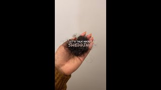 Lets Talk About Hair Shedding [upl. by Anot]