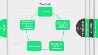 Biochimie les vitamines part 1 [upl. by Mariejeanne506]