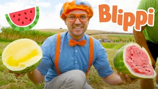 Blippi Visits Tanaka Farm  Healthy Eating Videos For Kids  Educational Videos For Kids [upl. by Wojak]