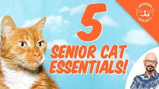 5 Senior Cat Essentials [upl. by Aramas224]