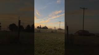 Video of A Little Country in the City  County Line Hobby Farm CO from jarrid B [upl. by Hirschfeld]