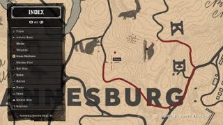 Red Dead Redemption 2 Perfect woodpecker location [upl. by Notyard]