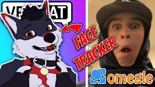 Using a FACE TRACKER on Omegle [upl. by Baptist692]