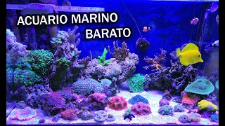 Acuario Marino Barato  Ep 01 [upl. by Korey]