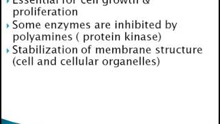 POLYAMINES [upl. by Schultz]