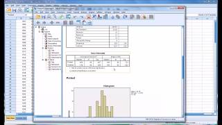 Normality Tests in SPSS [upl. by Nylrebmik310]