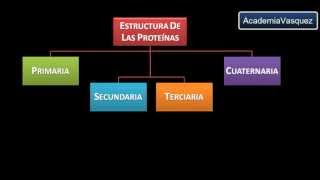 Estructura y Organización de las Proteínas [upl. by Ellenwad]