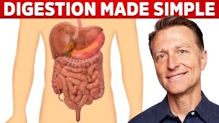 Your Digestive System Explained in Simple Terms [upl. by Nahtam]