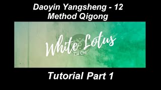 Daoyin Yangsheng 12 Method Qigong Tutorial Part 1  White Lotus Tai Chi [upl. by Odlavso159]