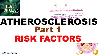 ATHEROSCLEROSIS part 1 Definition epidemiology amp Risk factors [upl. by Hairu]