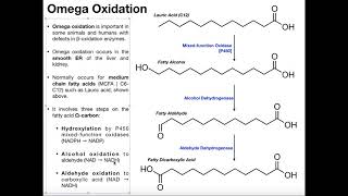 Omega Oxidation for Fatty Acids [upl. by Dott]