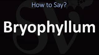 How to Pronounce Bryophyllum CORRECTLY [upl. by Candra]