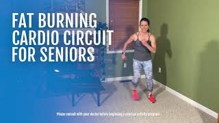 Fat Burning Cardio Circuit for Seniors  SilverSneakers [upl. by Koloski508]