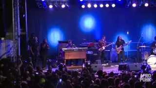 DAngelo at AFROPUNK FEST 2014 FULL SET [upl. by Ahsikad]