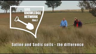 Saline and sodic soils  the difference [upl. by Annahoj305]