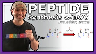 Peptide Synthesis with the Boc Protecting Group [upl. by Burger]