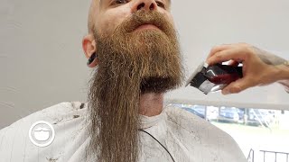 Top 10 Best Beard Transformational Trims [upl. by Sale]