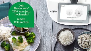 Thermomix® TM6 Modus Reis kochen [upl. by Atiuqaj]