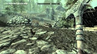 Skyrim Hearthfire  House and Land Purchase Locations [upl. by Lamak]