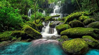 BEAUTIFUL Spring Waterfall Relaxing Music Therapy  Love Nature [upl. by Anivlis]