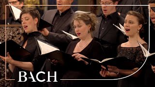 Bach  Motet Singet dem Herrn ein neues Lied BWV 225  MacLeod  Netherlands Bach Society [upl. by Nhguavahs]