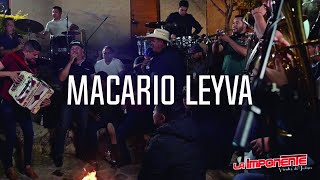 LaImponenteOficial  Macario Leyva  Musical En Vivo [upl. by Bently]