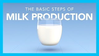 The basic steps of milk production [upl. by Alikat951]