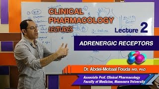 Autonomic Pharmacology Ar  Lec 02  Adrenergic Receptors [upl. by Filipe402]