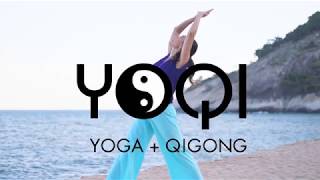 Qigong for Vitality Opening the Door of Life [upl. by Rosamund494]