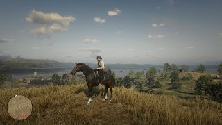 RDR2 Turkoman Horse Location  Turkoman [upl. by Myrah]