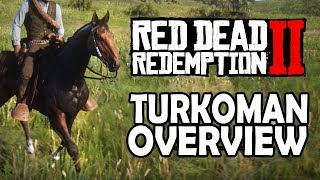 Turkoman Overview  Red Dead Redemption 2 Horses [upl. by Varney]