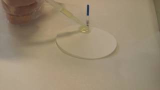 The lateral flow test [upl. by Danika103]