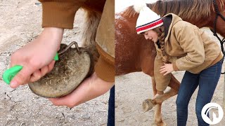 How To Clean A Horses Hooves The Easy Way [upl. by Navetse]