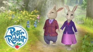 Peter Rabbit  Amazing Adventures  Compilation [upl. by Nirtak818]