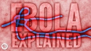 Ebola Explained [upl. by Joyce]