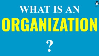 What is an Organization  Structure and Characteristics of Organization [upl. by Elson]