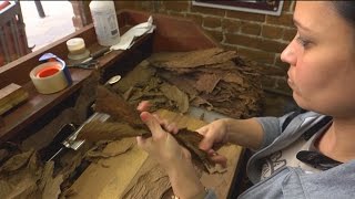 How Cigars Are Made at TABANERO CIGAR FACTORY  WildTravelsTVcom [upl. by Ylecara]