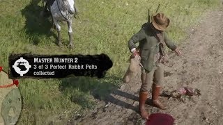 How To Get Perfect Rabbit Pelts  Red Dead Redemption 2 [upl. by Airbma96]