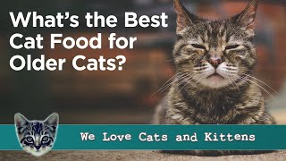 Best Cat Food for Older Cats  Senior Cat Food Reviews and Guide [upl. by Aniahs]