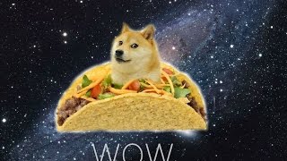 What does DOGE Mean Finally Explained [upl. by Giarg]