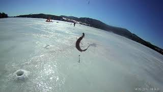 Lake Memphremagog Ice Fishing [upl. by Aleahpar]