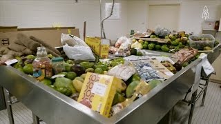 See What Really Happens To The Illegal Food Confiscated At US Customs [upl. by Litnahc]