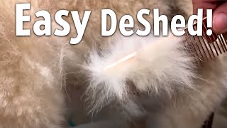 Easiest way to DESHED Any DOG at Home [upl. by Notnert]