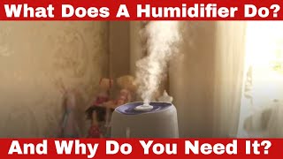 What Does a Humidifier Do Why Do You Need It [upl. by Yoccm]