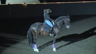 Equine Affaire 2010 Pfizer Fantasia  Dressage quotQueenquot Freestyle [upl. by Odlareg]