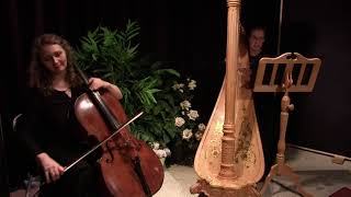 Cello and Harp Duo  Canon in D [upl. by Nawk879]