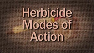 Herbicide Modes Of Action  Family Plot [upl. by Eicats709]