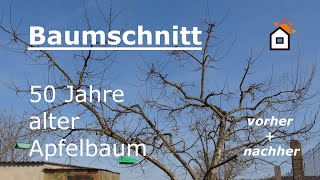 Baumschnitt Apfelbaum 50 Jahre  vorher amp nachher [upl. by Attaynek]